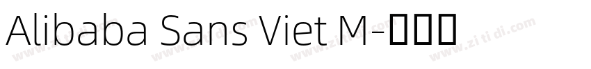 Alibaba Sans Viet M字体转换